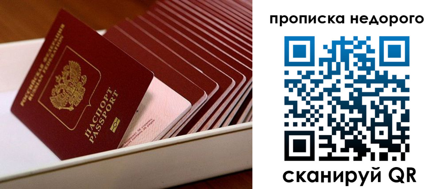 прописка паспорт в Советской Гавани